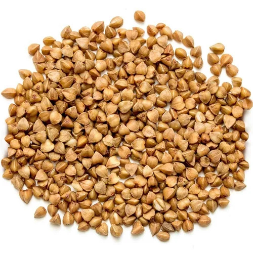Pseudo Cereal Grains